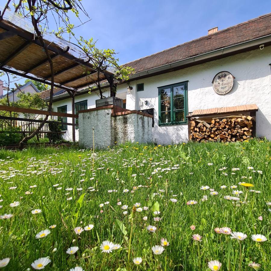 Nitsch - Gaestehaus Nitsch Apartment